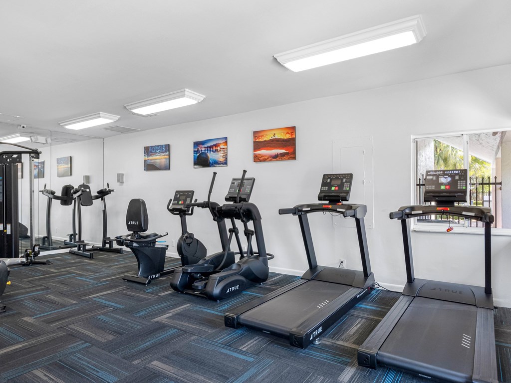 A gym with treadmills and exercise bikes.